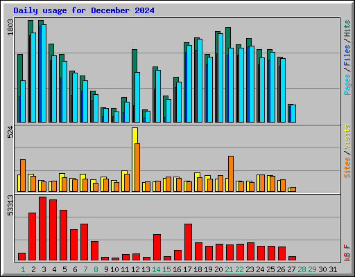 Daily usage for December 2024