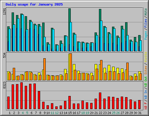 Daily usage for January 2025