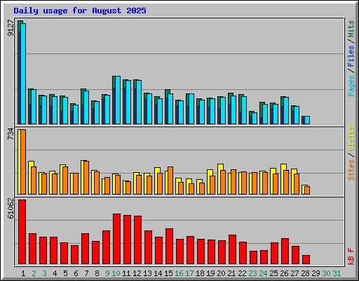 Daily usage for August 2025