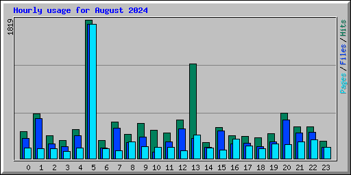 Hourly usage for August 2024