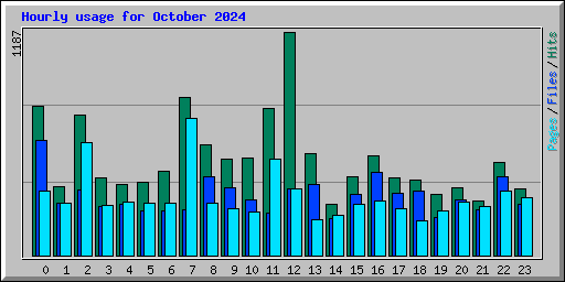 Hourly usage for October 2024