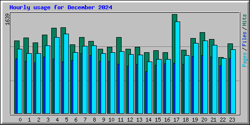 Hourly usage for December 2024