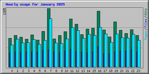 Hourly usage for January 2025