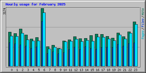 Hourly usage for February 2025