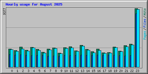 Hourly usage for August 2025