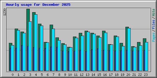 Hourly usage for December 2025
