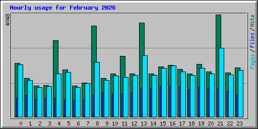 Hourly usage for February 2026