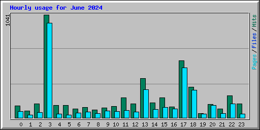 Hourly usage for June 2024