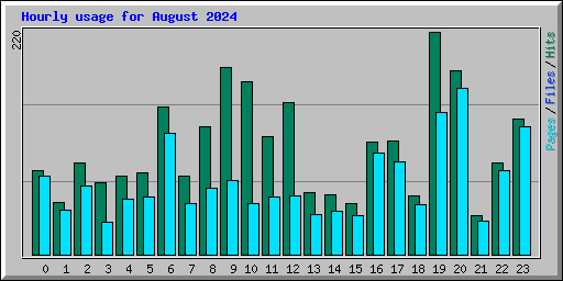 Hourly usage for August 2024