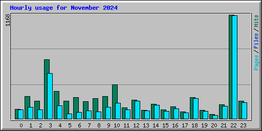 Hourly usage for November 2024