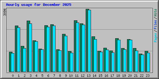 Hourly usage for December 2025